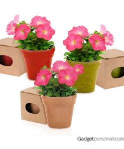 Vasetto Advert con semi di petunia