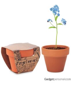 Piccolo vaso di terracotta Forget Me Not con semi 'non ti scordar di me'