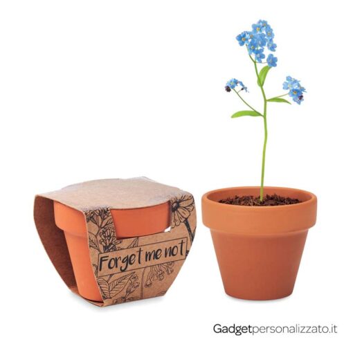 Piccolo vaso di terracotta Forget Me Not con semi 'non ti scordar di me'