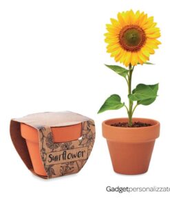 Piccolo vaso di terracotta Sunflower con semi di girasole