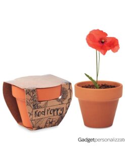 Piccolo vaso di terracotta Red Poppy con semi di papavero