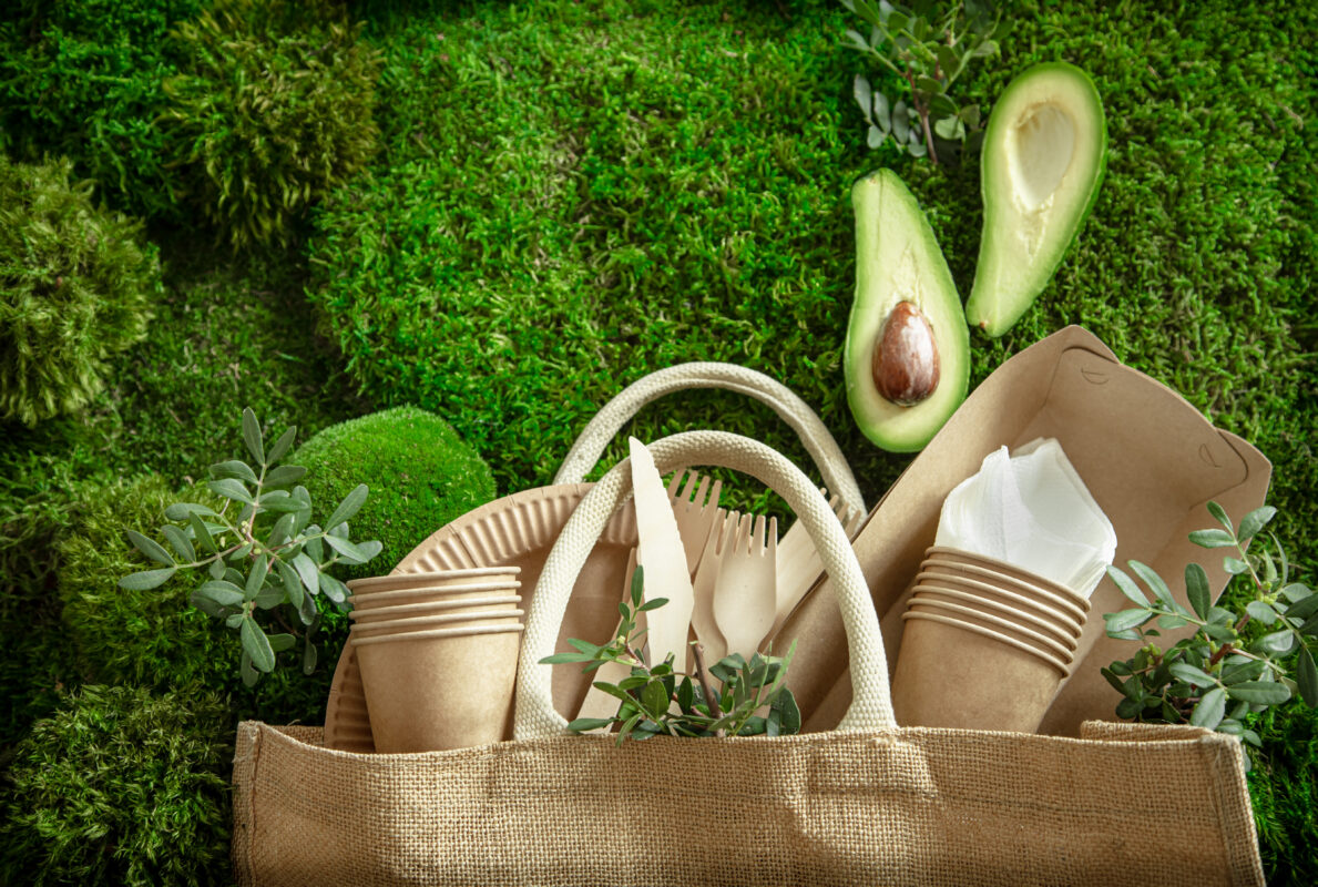 Giornata Mondiale dell’ambiente